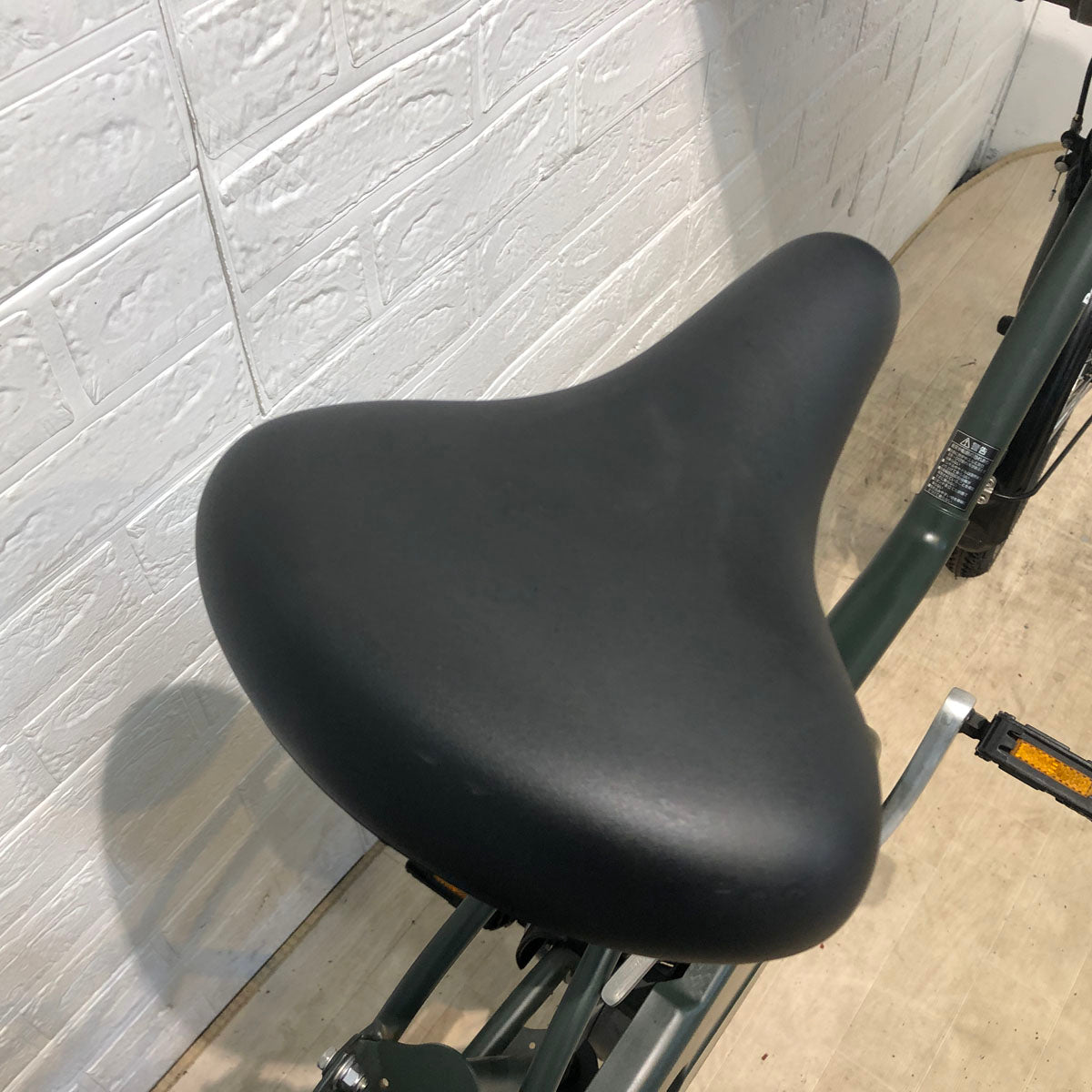 パナソニック ギュット ミニ DX グリーン 20インチ YT118【中古車】