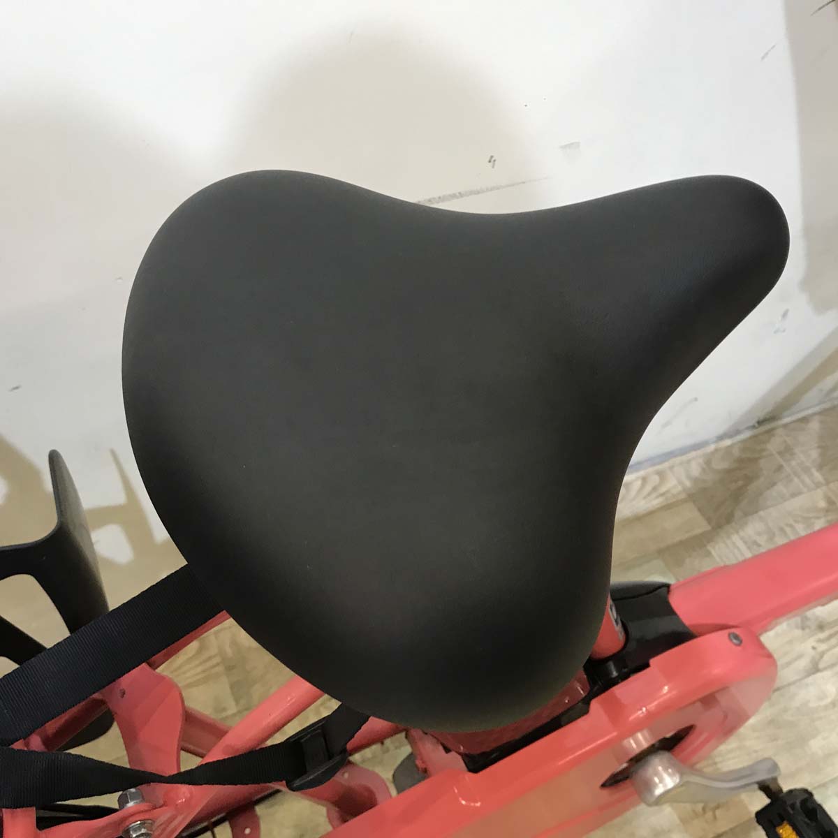 パナソニック ギュット ミニ DX ピンク 20インチ KX054