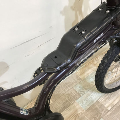 パナソニック EZ ブラウン 20インチ KG120 【中古車】