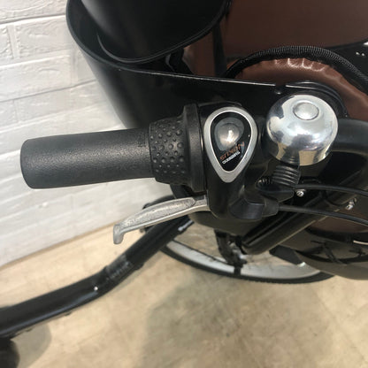 パナソニック ギュット ミニ DX ブラック 20インチ YW034【中古車】