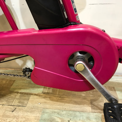パナソニック ギュット ミニ DX ピンク 20インチ KO091 【中古車】