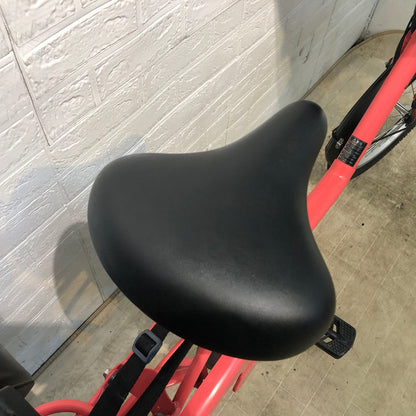 パナソニック ギュット ミニ DX ピンク 20インチ YE045【中古車】