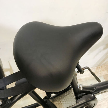 パナソニック ギュットアニーズEX ブラック 20インチ KH109 【中古車】