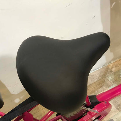 パナソニック ギュット ミニ DX ピンク 20インチ KU034【中古車】