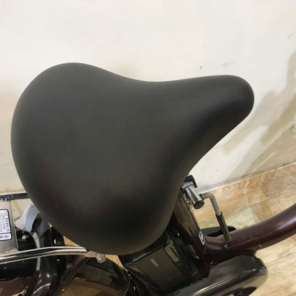 ブリヂストン アシスタ DX ブラウン 24インチ KZ029【中古車】