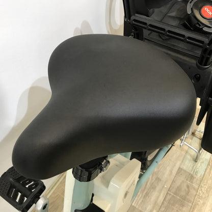 パナソニック ギュットミニDX グリーン 20インチ KJ030 【中古車】