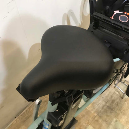 パナソニック ギュット ミニ DX グリーン 20インチ KE104【中古車】