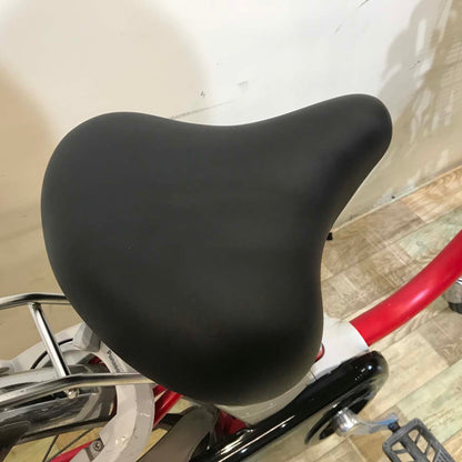 パナソニック ビビ SS レッド 26インチ KZ099 【中古車】
