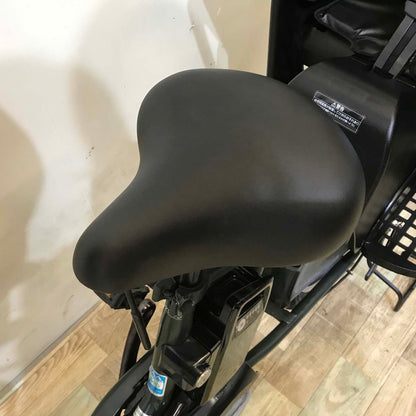 パナソニック ギュット アニーズ DX グリーン 20インチ KV036【中古車】