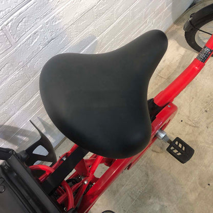 パナソニック ギュットミニ レッド 20インチ YG006 【中古車】