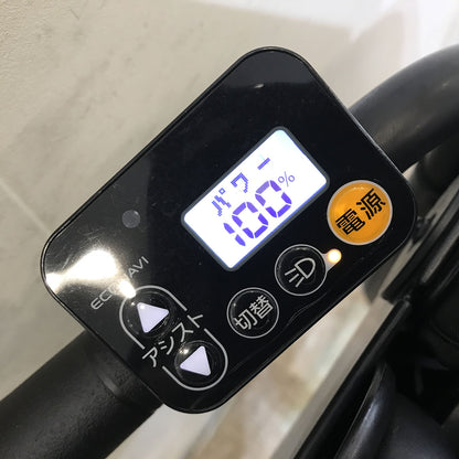 パナソニック ギュット ミニ DX グリーン 20インチ KF033【中古車】