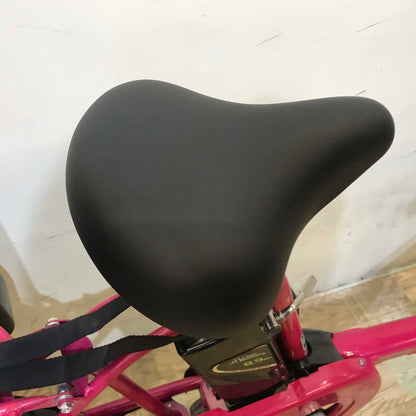 パナソニック ギュット ミニ DX ピンク 20インチ KA004【中古車】