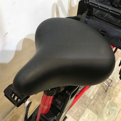 パナソニック ギュット ミニ レッド 20インチ KA020【中古車】