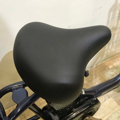 パナソニック ギュット アニーズ DX ネイビー 20インチ KA023【中古車】