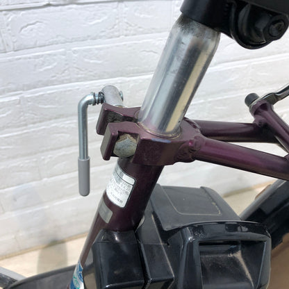 ブリヂストン アシスタ DX パープル 24インチ YB098 【中古車】