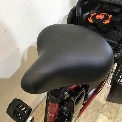 パナソニック ギュットミニDX レッド 20インチ KG020 【中古車】