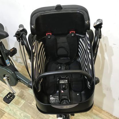 パナソニック ギュットミニDX グリーン 20インチ KL107 【中古車】