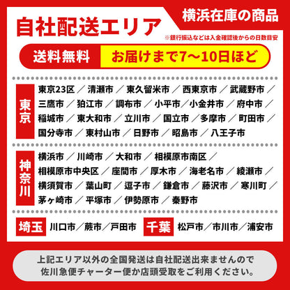パナソニック ギュット ミニ K ブラック 20インチ YV106【中古車】